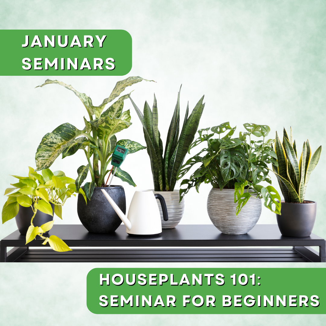 Seminar: Houseplants 101 for Beginners