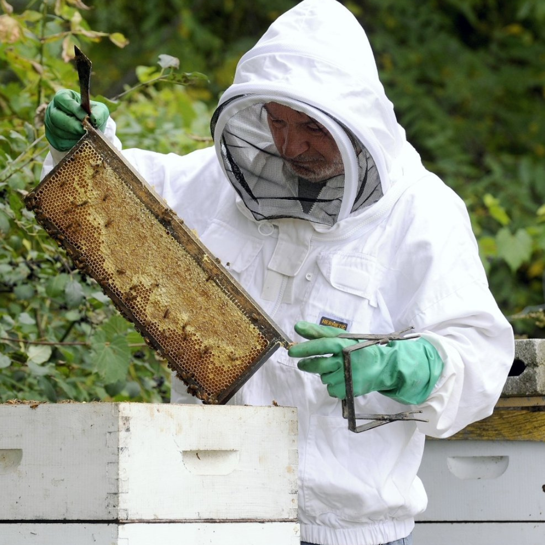 Anga’s New Year Workshops 2026 (7).png