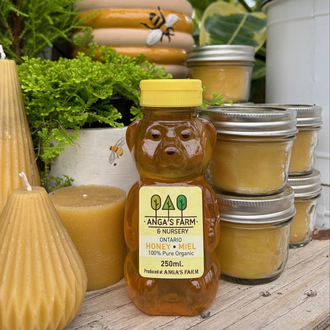 Anga’s New Year Workshops 2026 (8).png