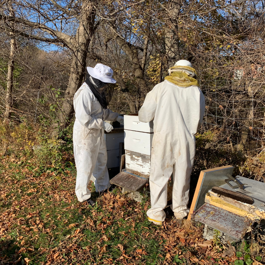 Anga’s New Year Workshops 2026 (53).png