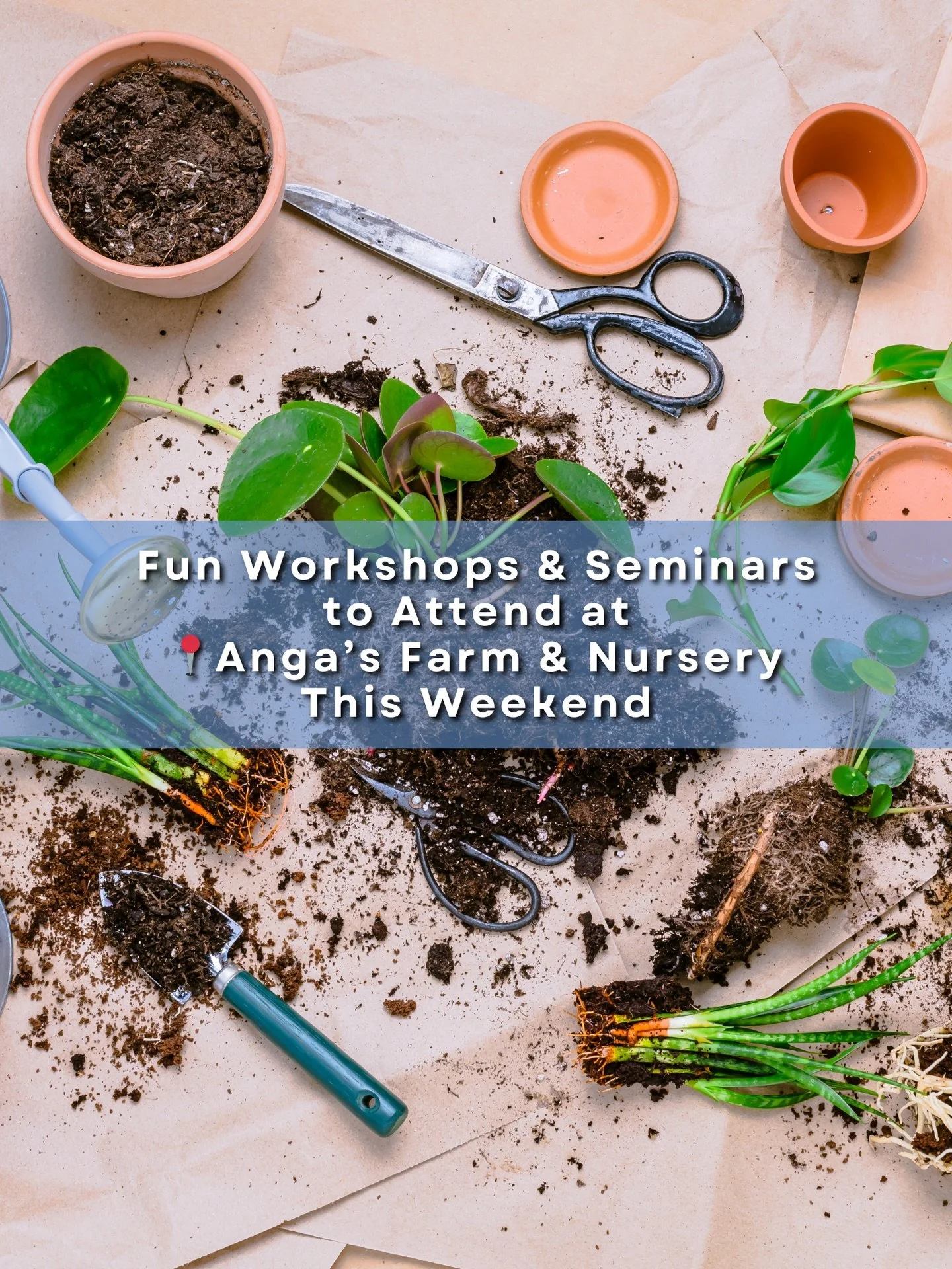 Looking for a relaxed, creative way to spend your weekend? 🌿🎨 Join us this weekend only for a pair of hands-on experiences designed to inspire, educate, and help you unwind.

✨ Houseplant 101 Seminar
Perfect for beginners or anyone looking to grow 