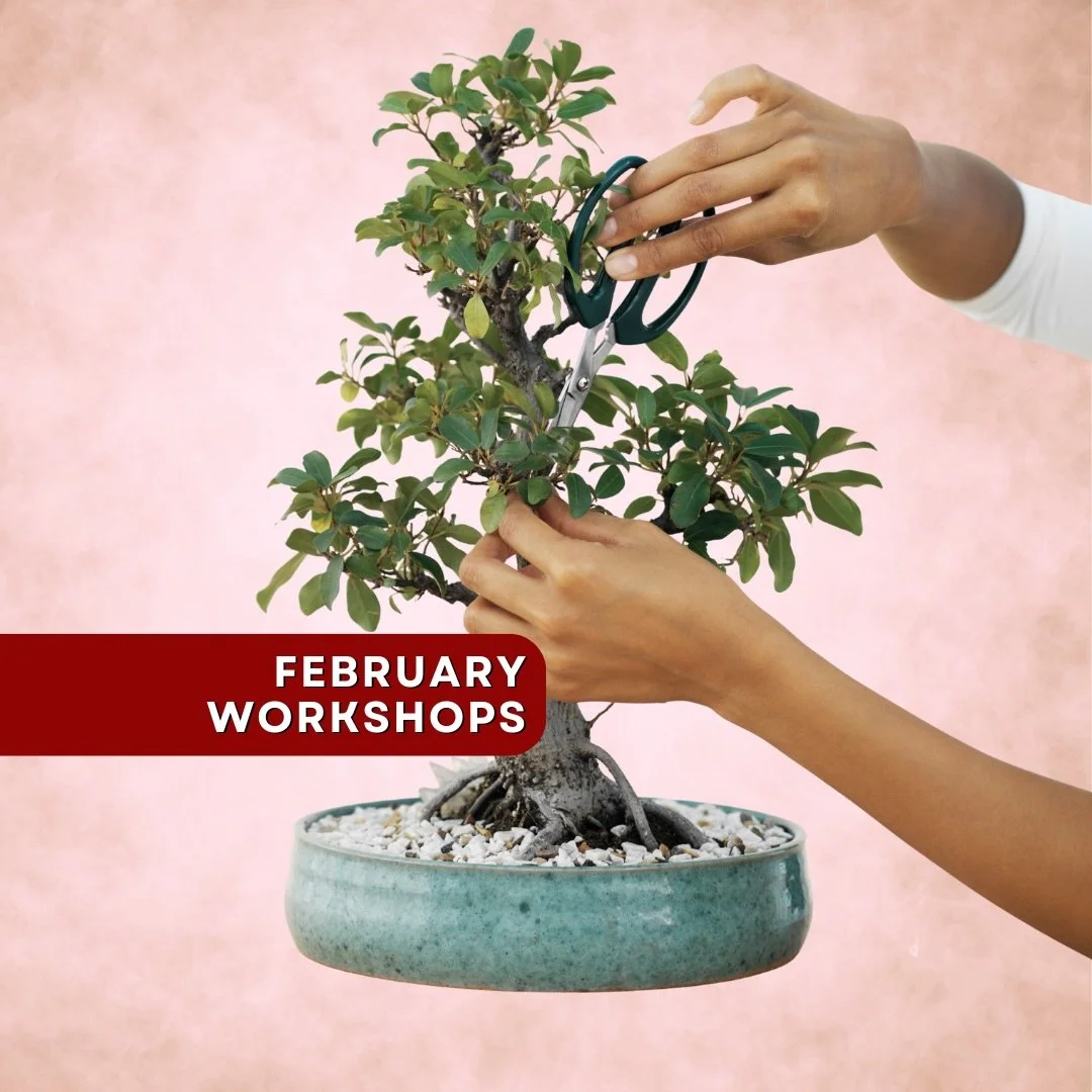 February Workshops Are Now Live! 💘

Another month into the new year and we&rsquo;re keeping the momentum going with a fresh lineup of workshops and seminars designed to inspire, create, and learn together 🌱

Here&rsquo;s what&rsquo;s coming up this