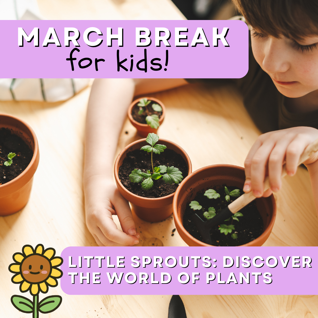 Little Sprouts: Discover the World of Plants Workshop