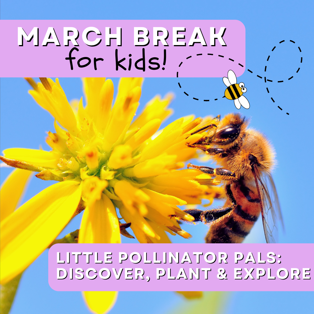 Little Pollinator Pals: Discover, Plant &amp; Explore