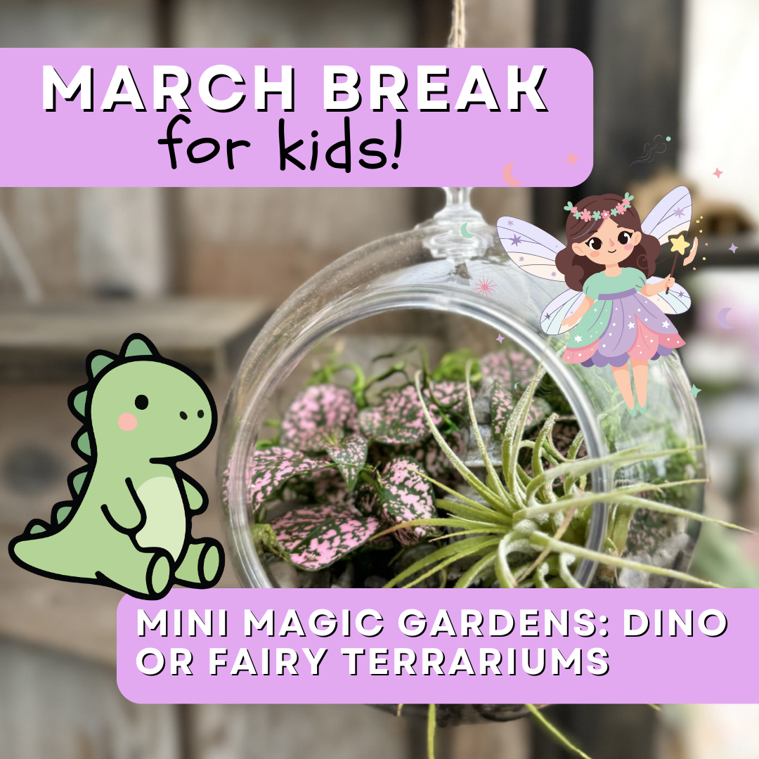 Mini Magic Gardens: Dino or Fairy Terrariums