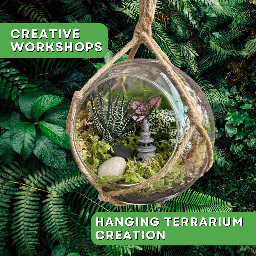 Workshop: Create Your Own Hanging Terrarium 
