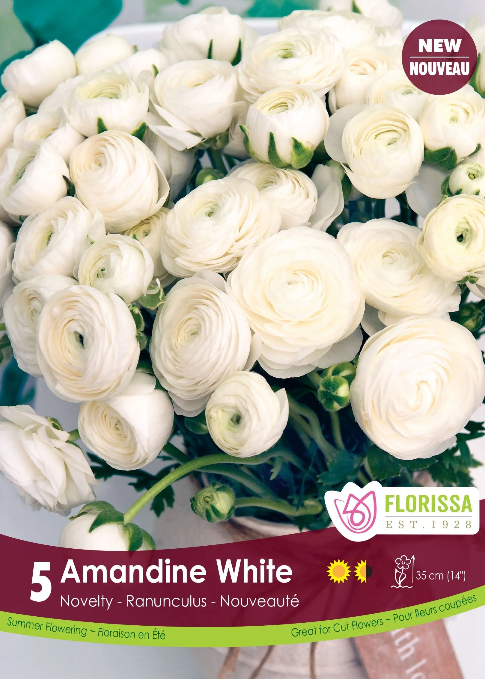 LGKepRanunculusAmandineWhite.jpg