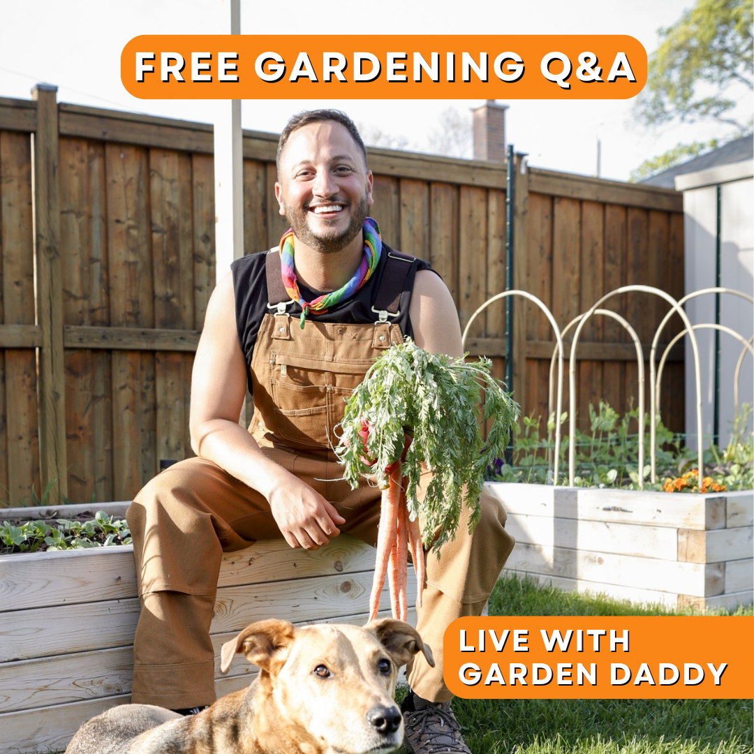 Free Gardening Q&amp;A with Garden Daddy at Anga’s Farm
