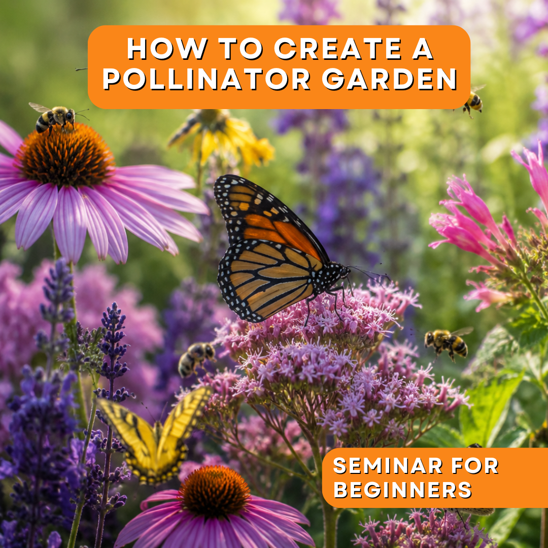 Seminar: How to Create a Pollinator Garden