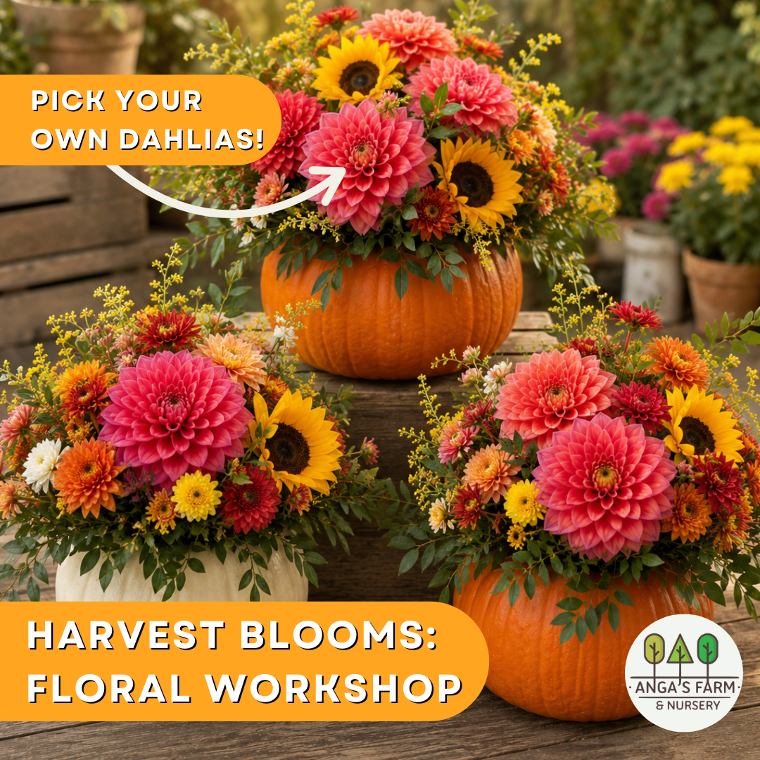 Harvest Blooms: Create a Thanksgiving Centrepiece