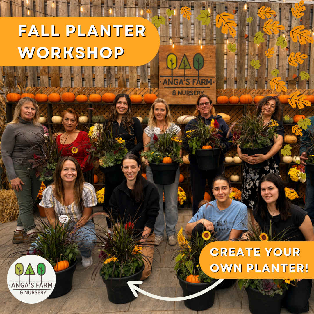 Fall Planter Workshop | Design a Beautiful Autumn Porch Planter