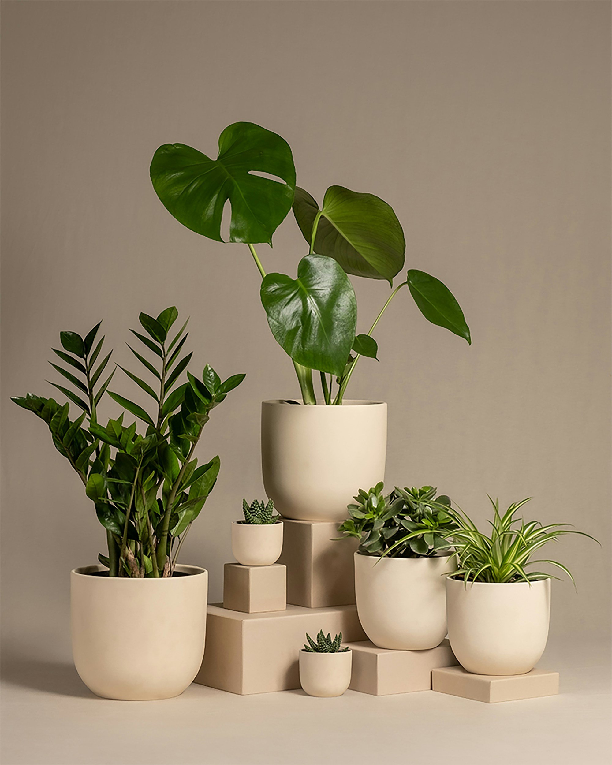 Indoor plants in decorative pots on a wooden stand near a window with white blinds.