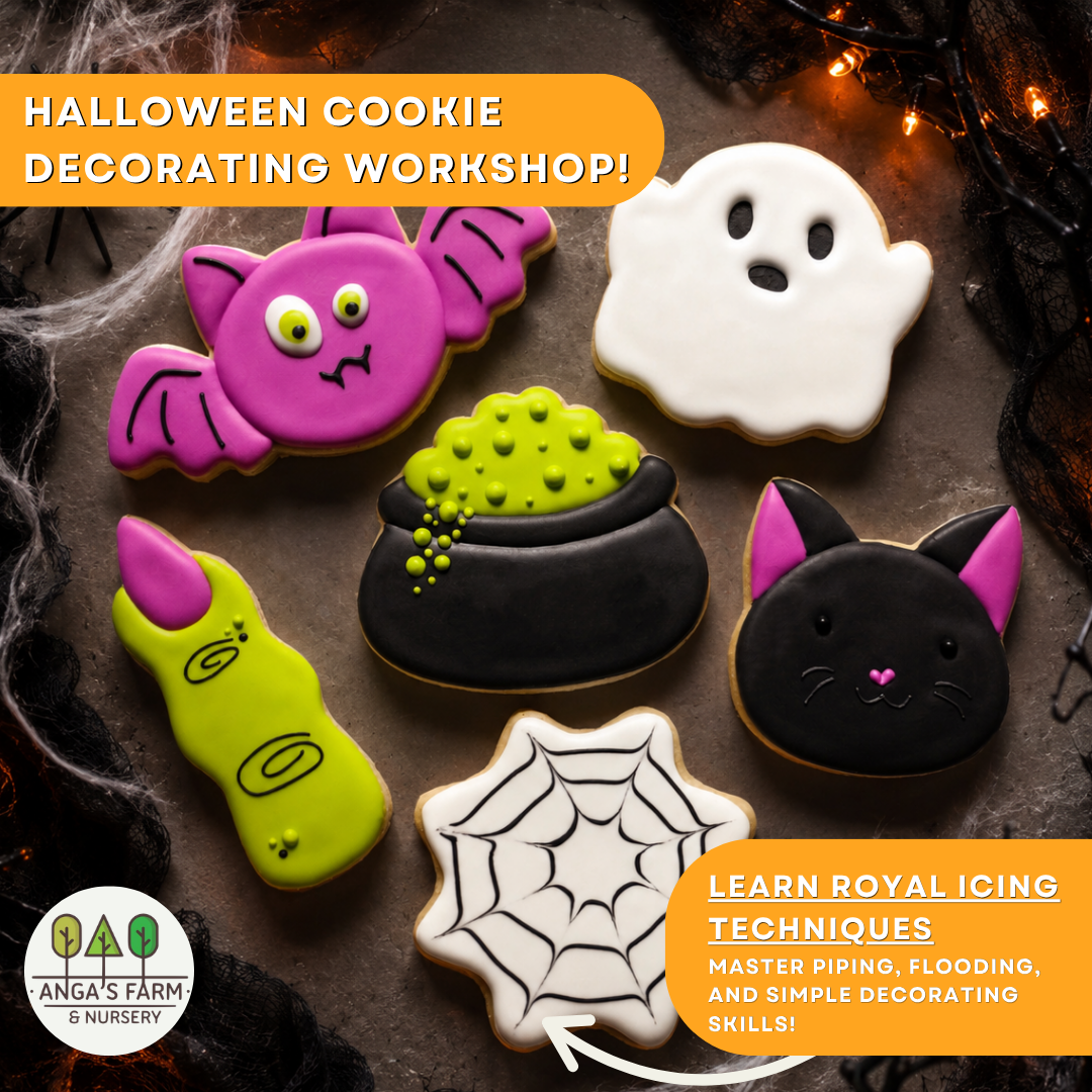 Halloween Sugar Cookie Decorating Workshop | Toronto
