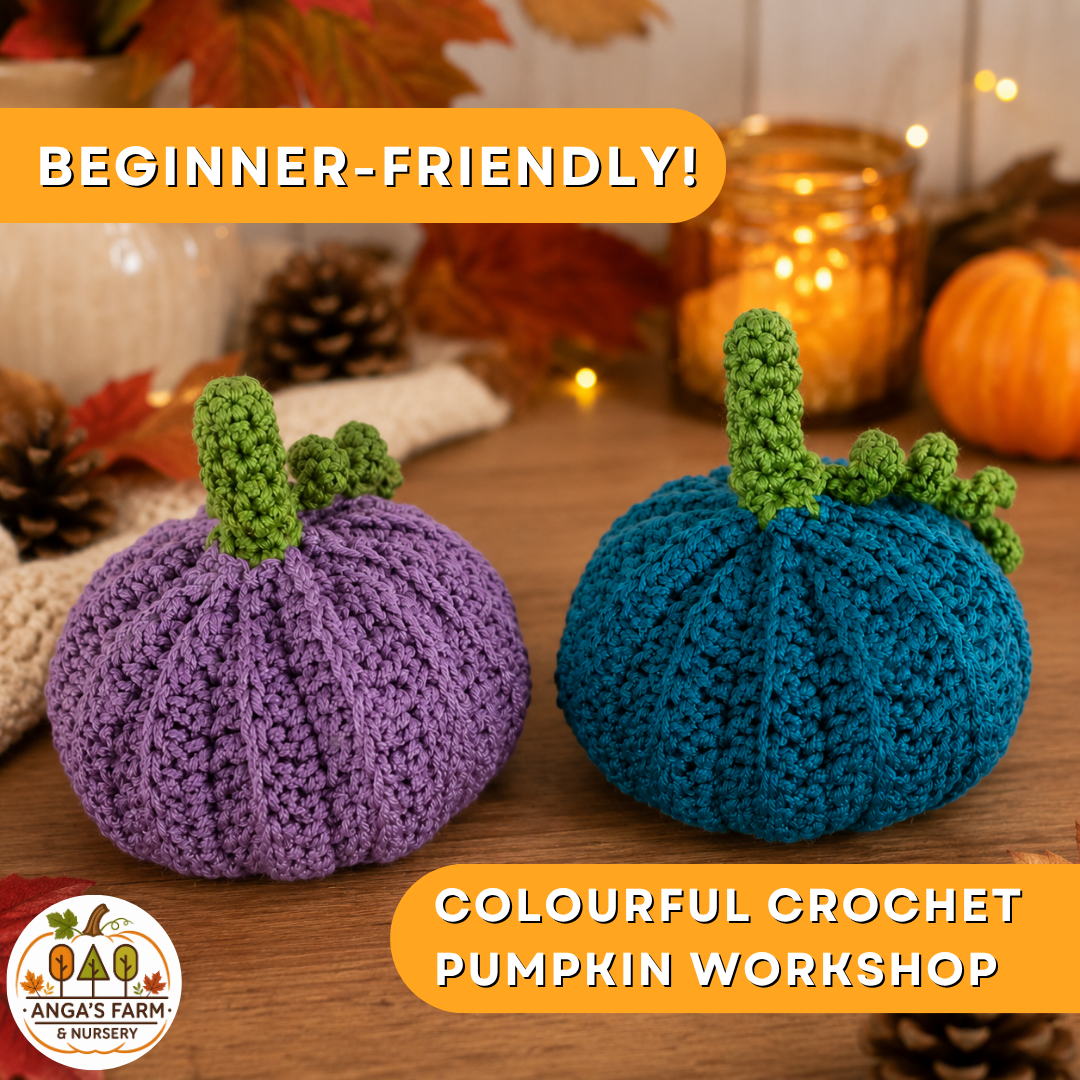Colourful Crochet Pumpkin Workshop