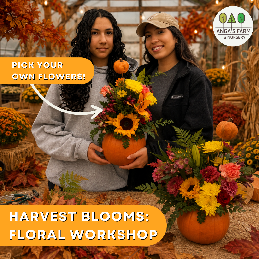 Harvest Blooms: Create a Thanksgiving Centrepiece