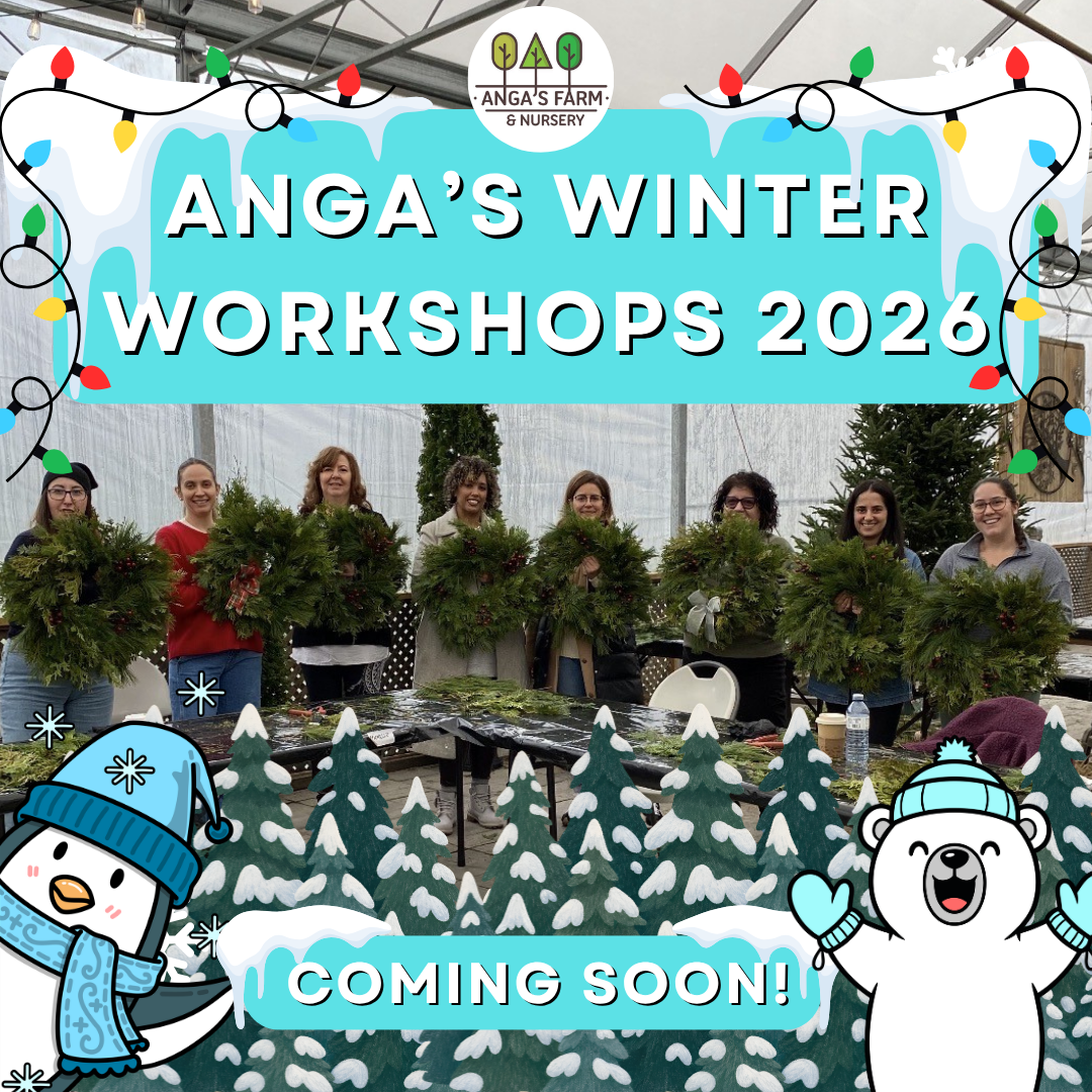 Winter Workshops 2026: Coming Soon! 