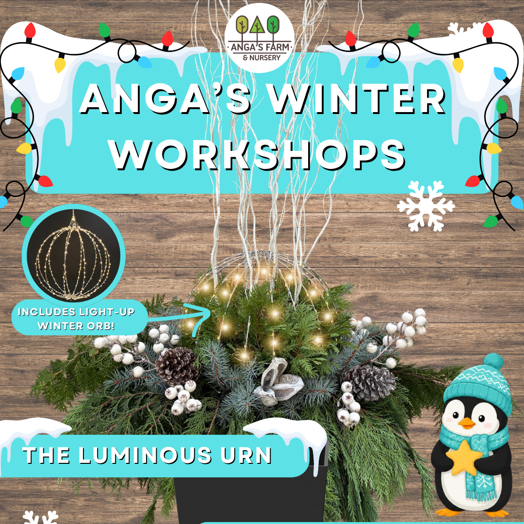The Luminous Urn Workshop
