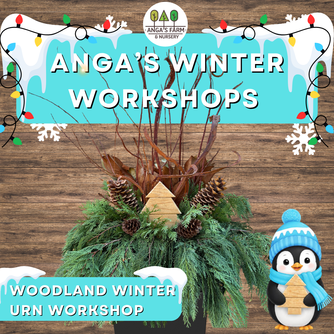 Woodland Winter Urn Workshop