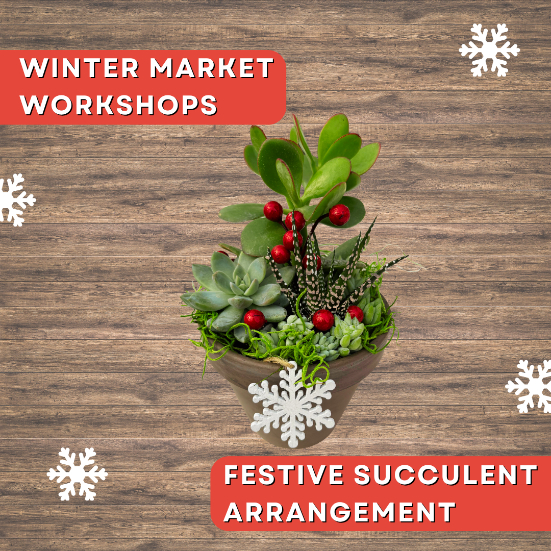 Winter Market Workshops: Create Your Own Festive Succulent Arrangement