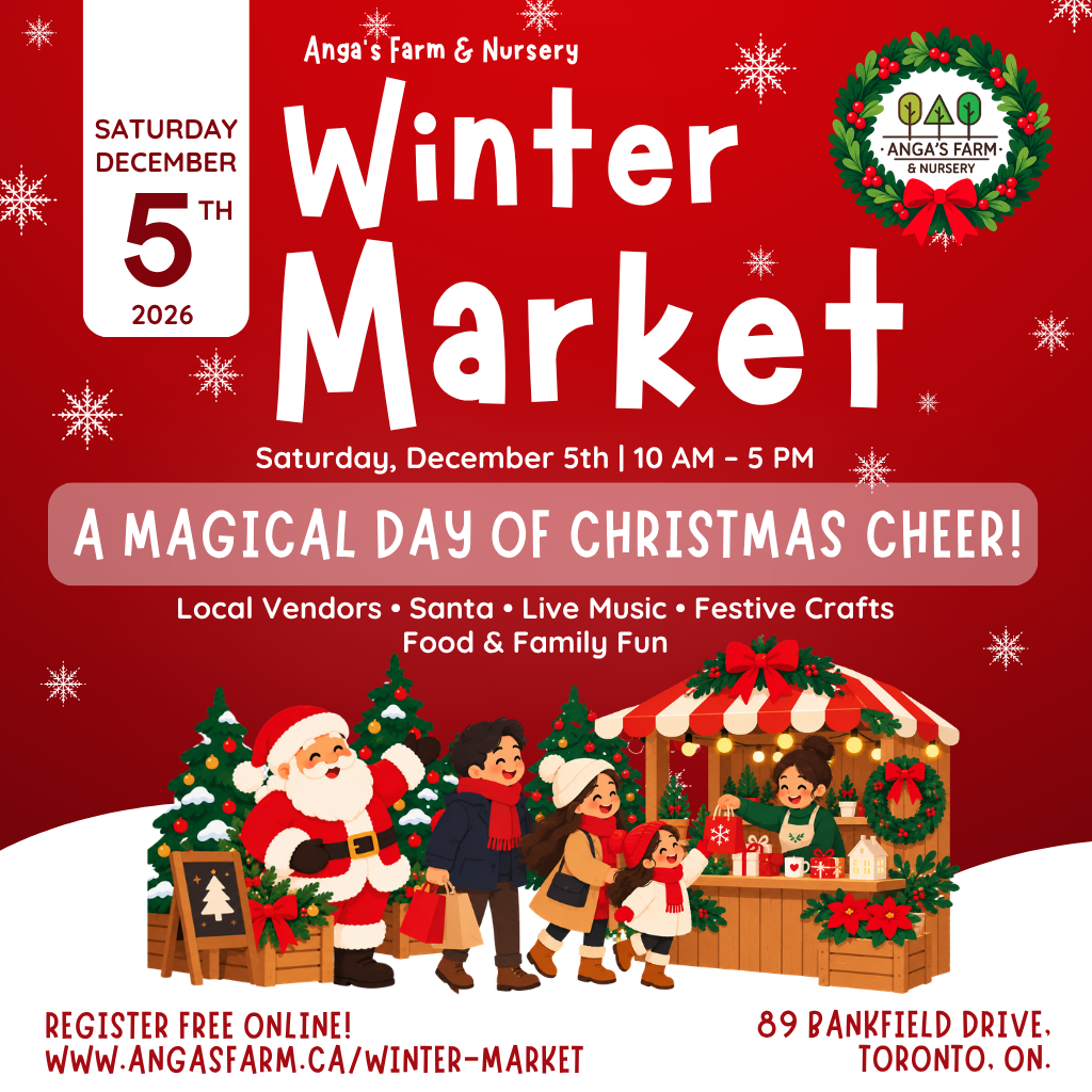 Anga’s Winter Market 2026
