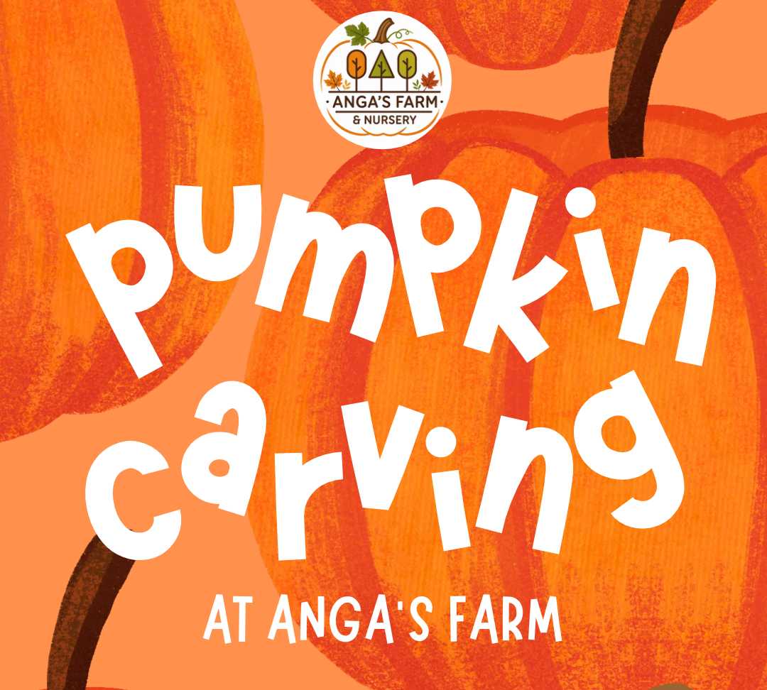Pumpkin Carving