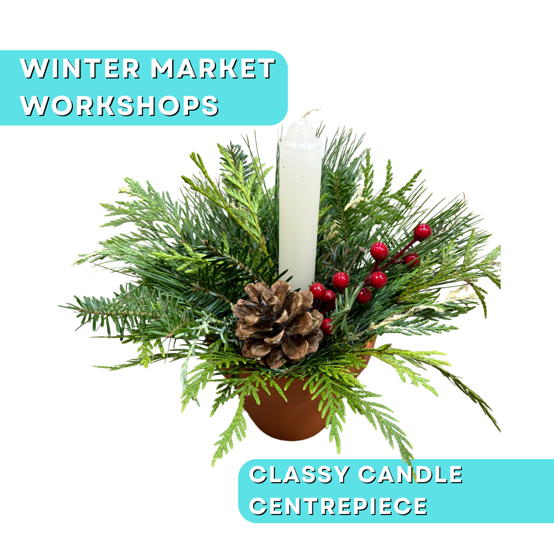 Anga’s WinterWorkshops (12).png