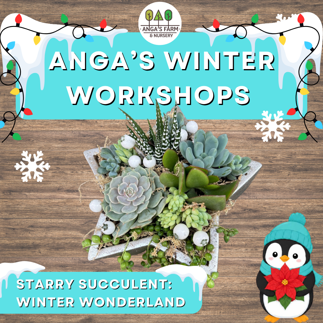 Anga’s Winter Workshops (8).png