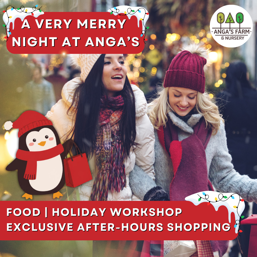 Anga’s Winter Workshops (2).png