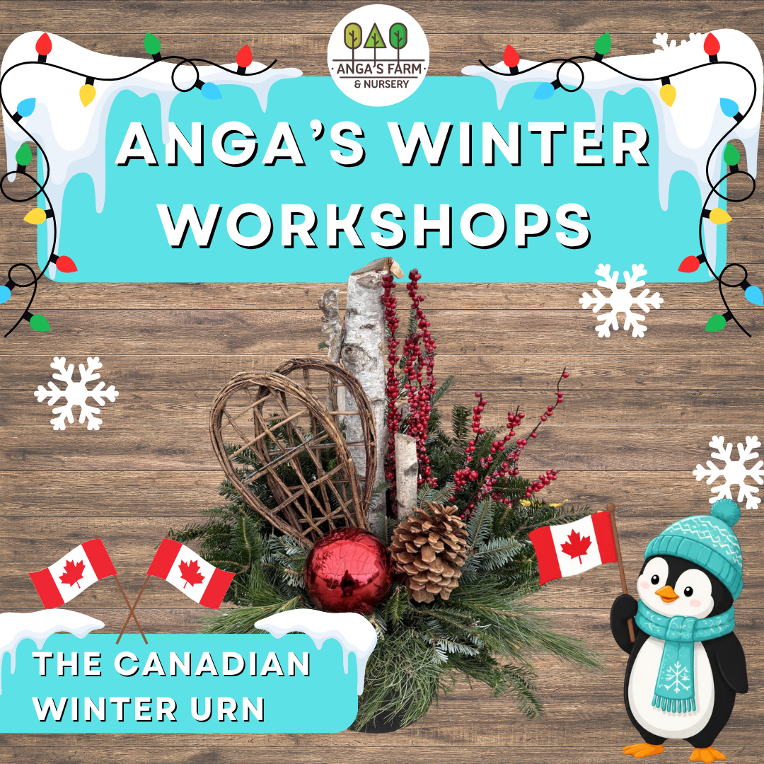 Anga’s Winter Workshops (3).png