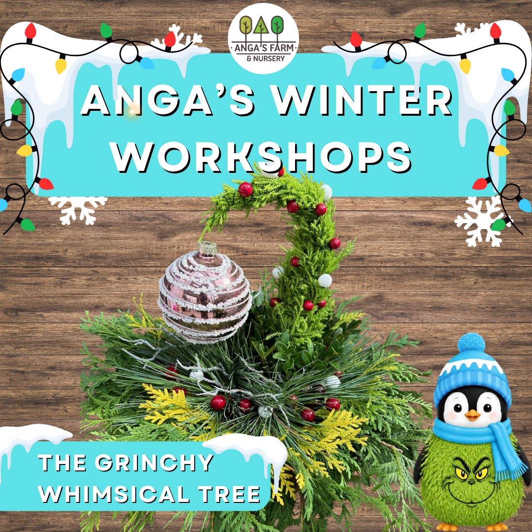 Anga’s Winter Workshops (10).png