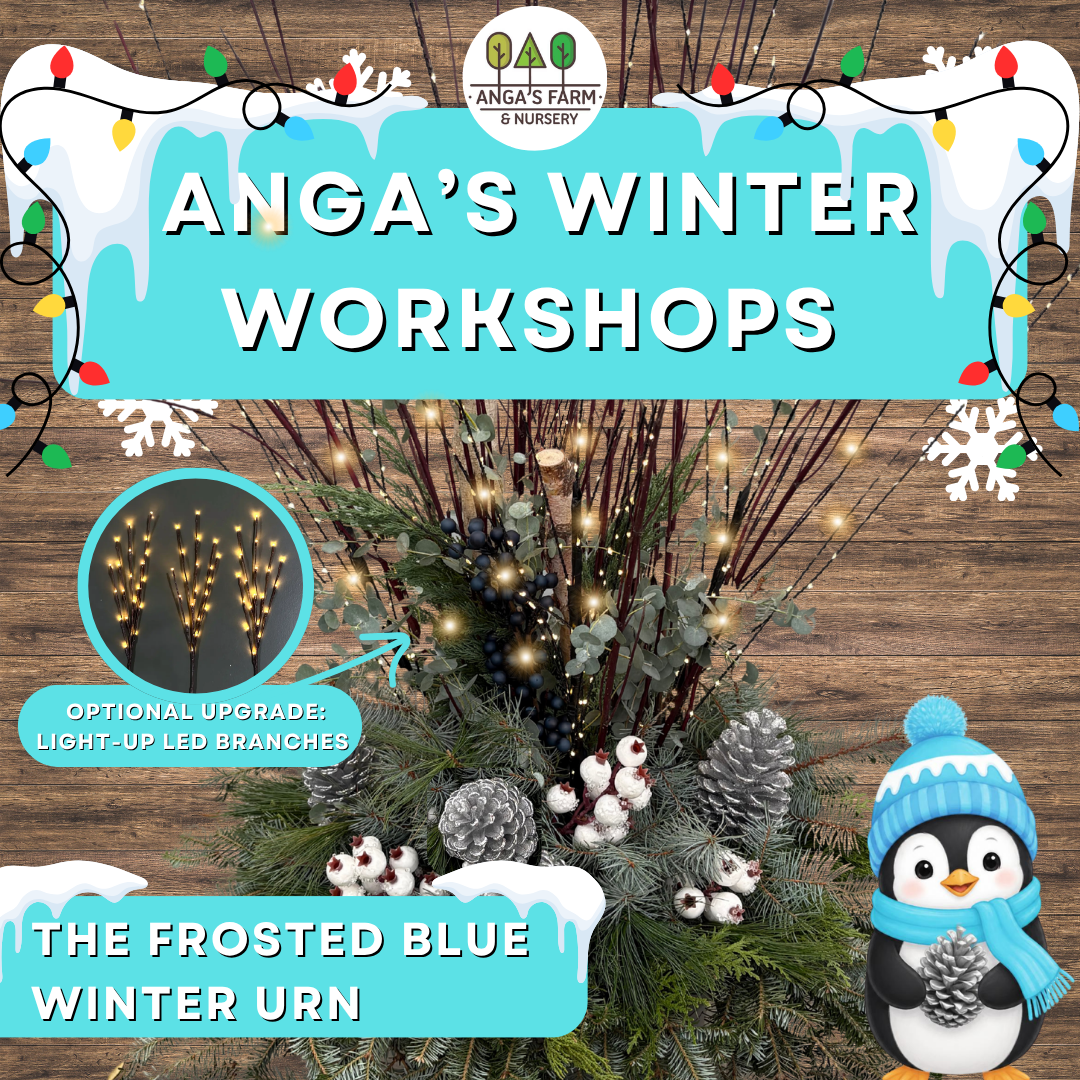 Anga’s Winter Workshops (5).png