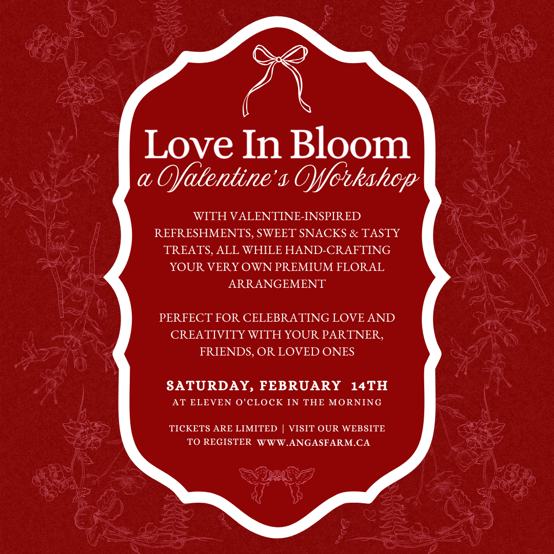 Beige Pink Vintage Playful Valentine's Day Dinner Date Invitation Instagram Post (Instagram Post) (1).png