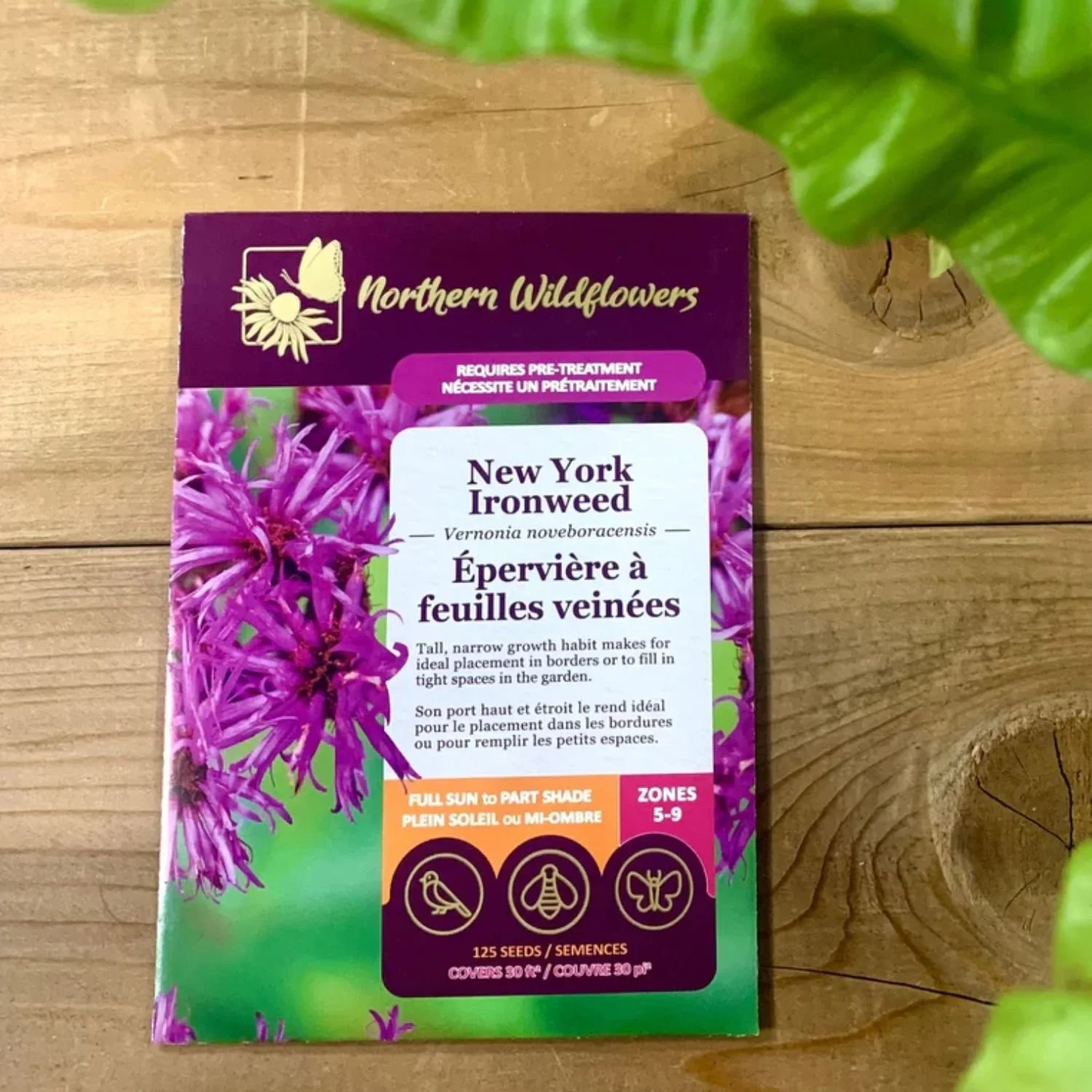 website photo template (28).jpg