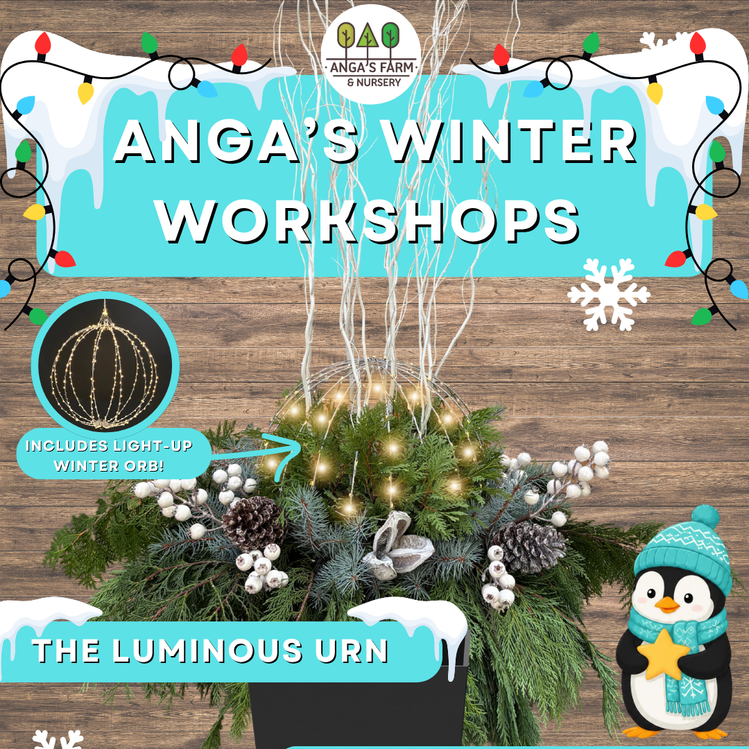 Anga’s Winter Workshops (4).png