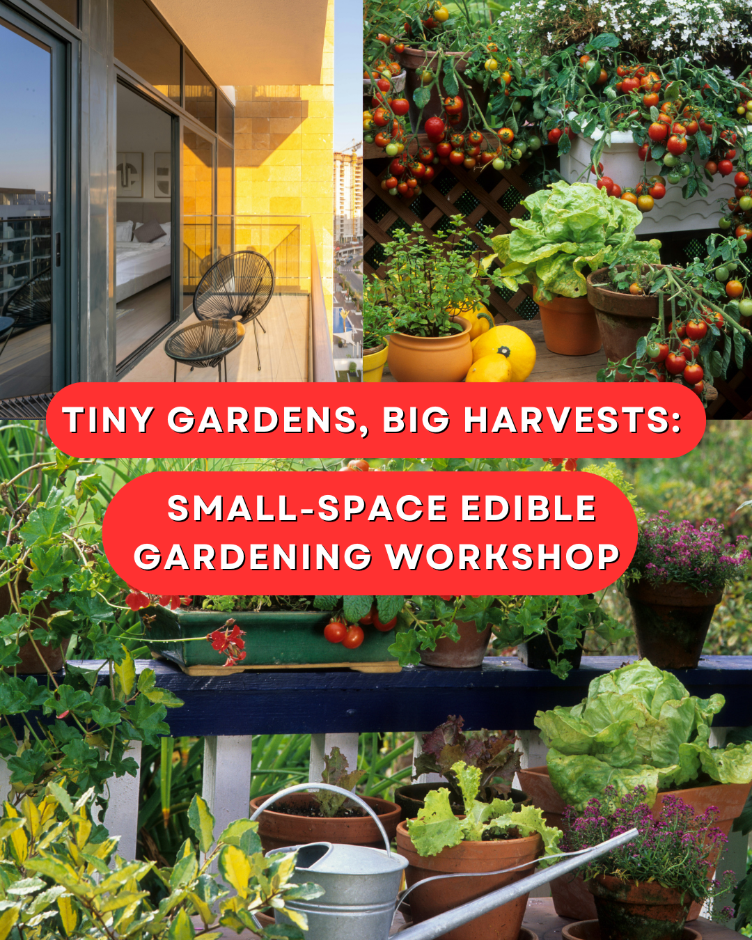 Elegant Spring Succulent Workshop (12).png
