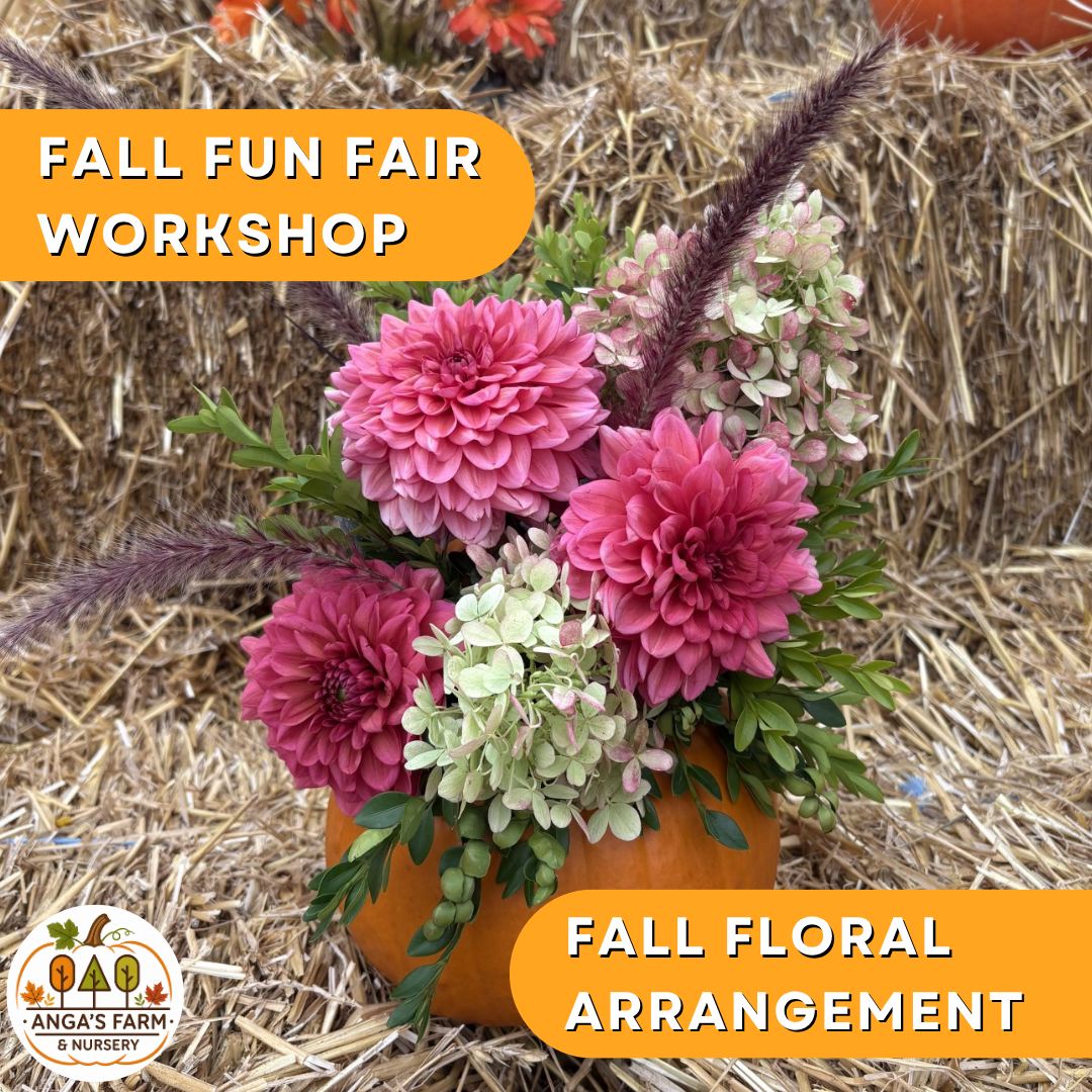 Workshops 2026 - 2026-09-23T124250.614.png