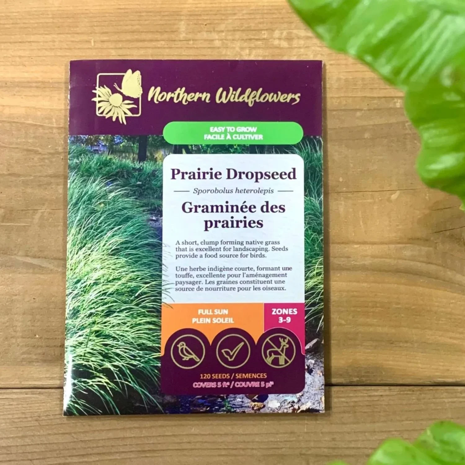 website photo template (5).jpg