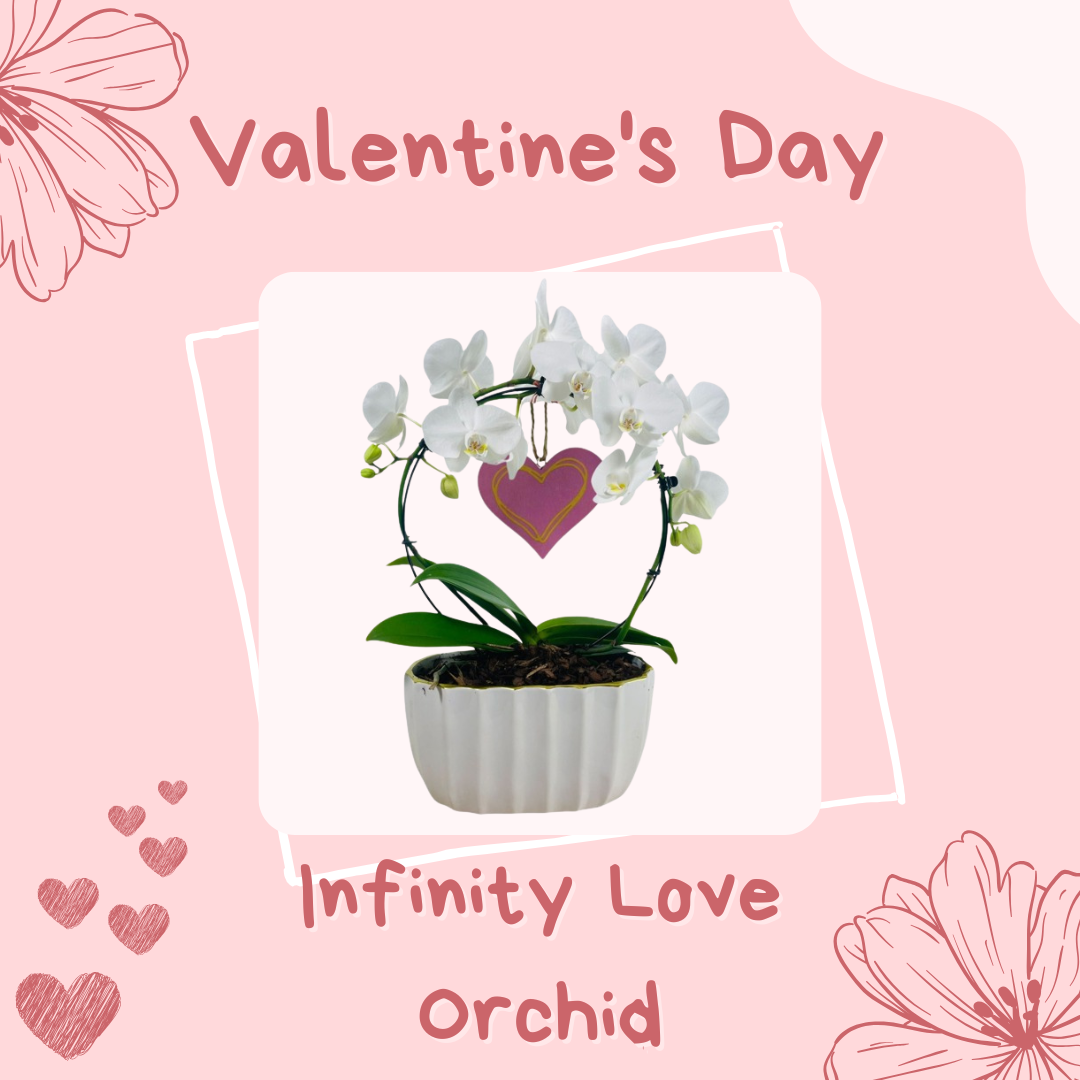 Anga’s New Year Workshops 2026 (6).png