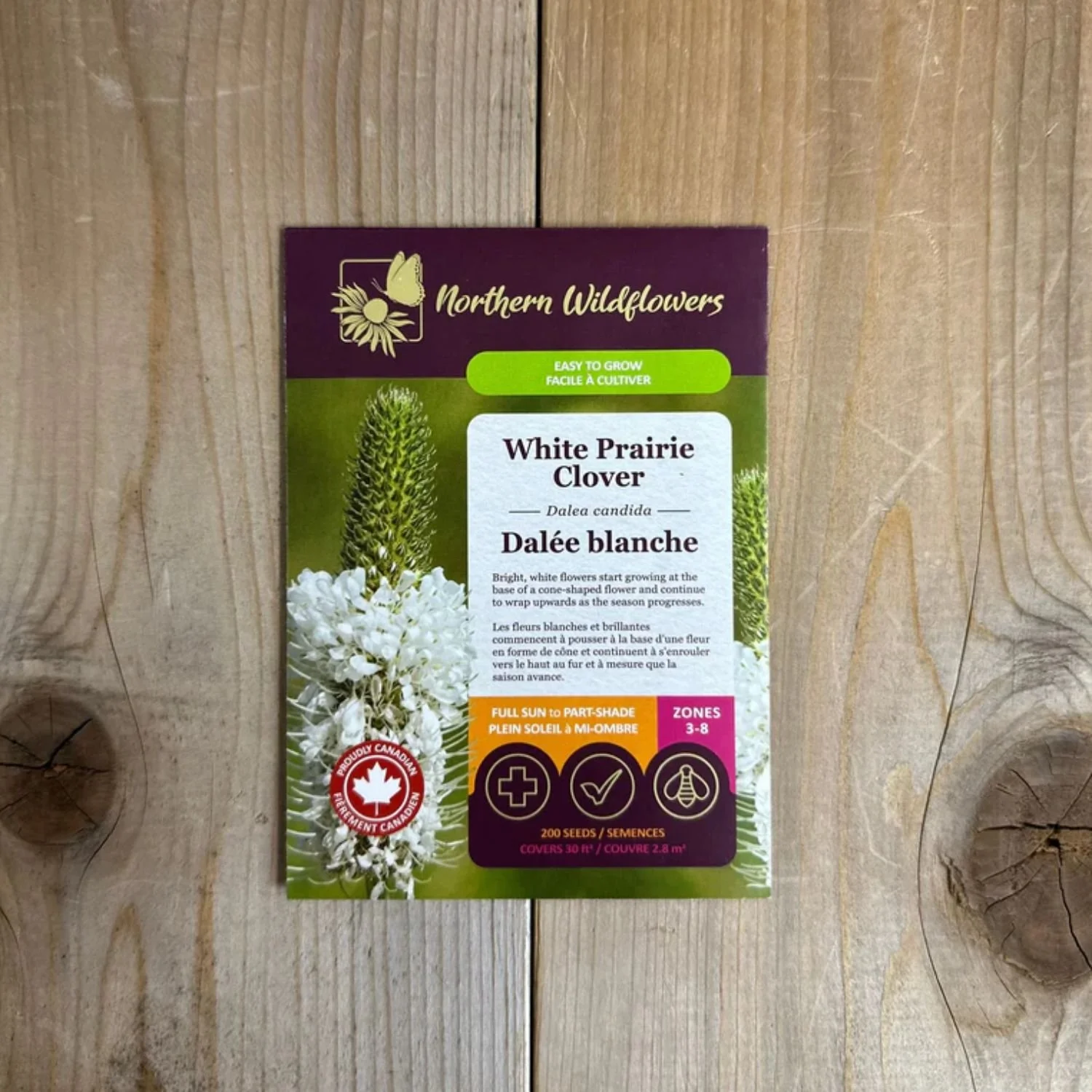 website photo template (23).jpg