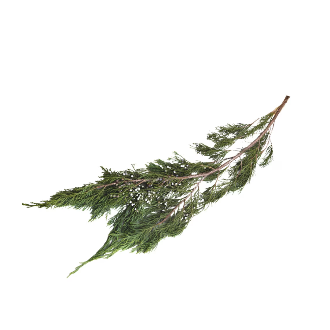 Untitled design - 2025-11-05T091656.647.png