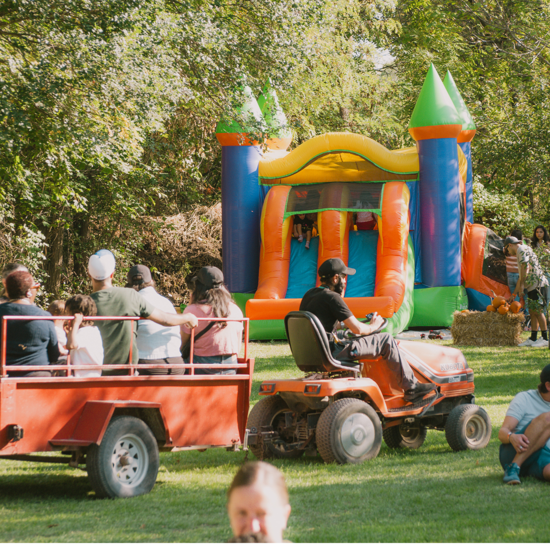 Fun Events at Anga's