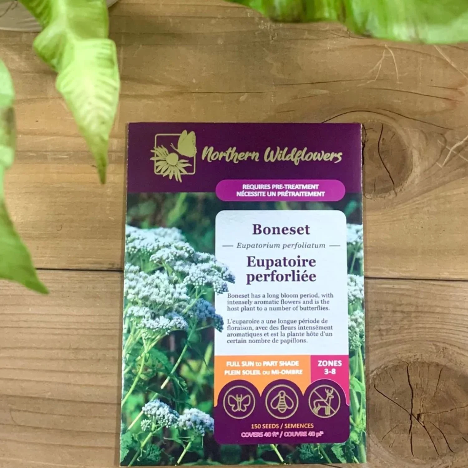 website photo template (15).jpg