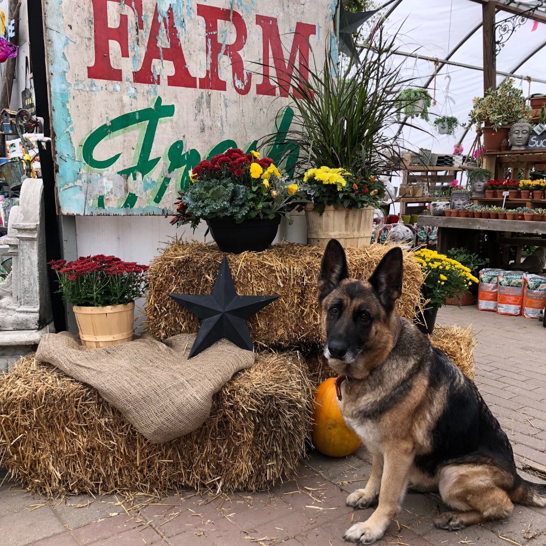 Anga’s WinterWorkshops (48).png