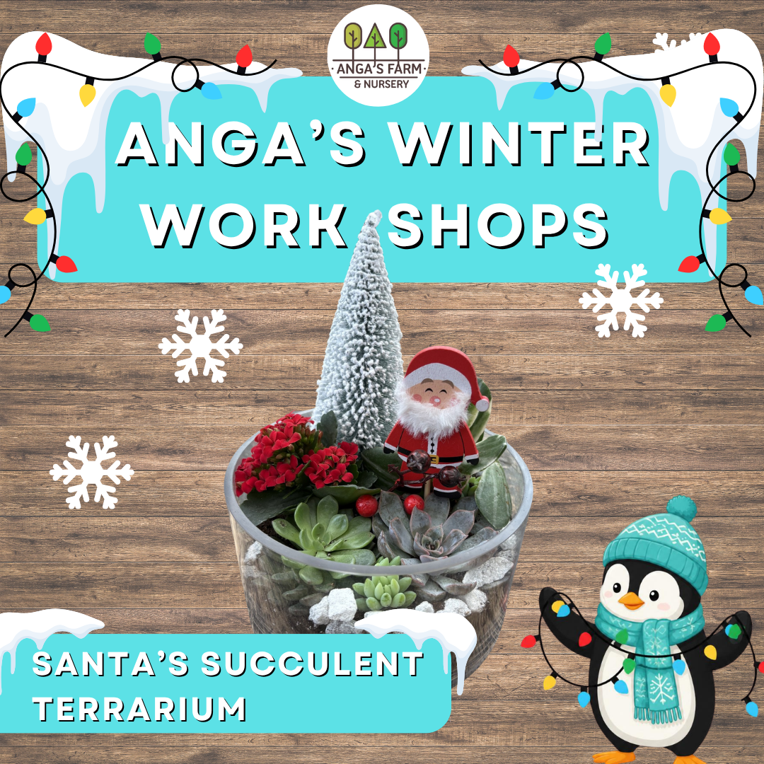 Anga’s Winter Workshops (9).png