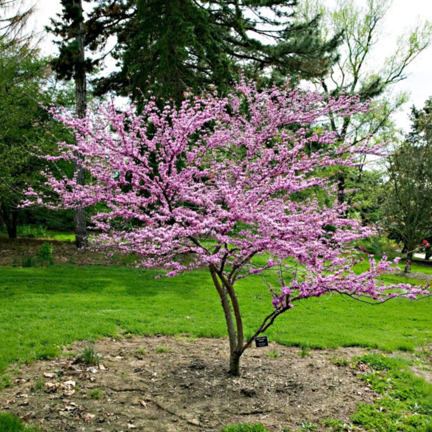 website photo template (9).jpg