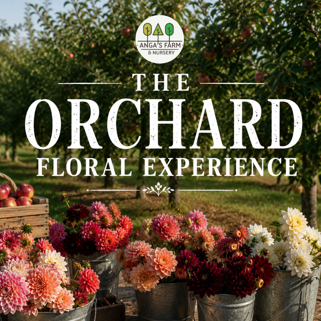 The Orchard Floral Experience | Workshop (Saturday, August 15, 2026 2:00 PM -4:00 PM)