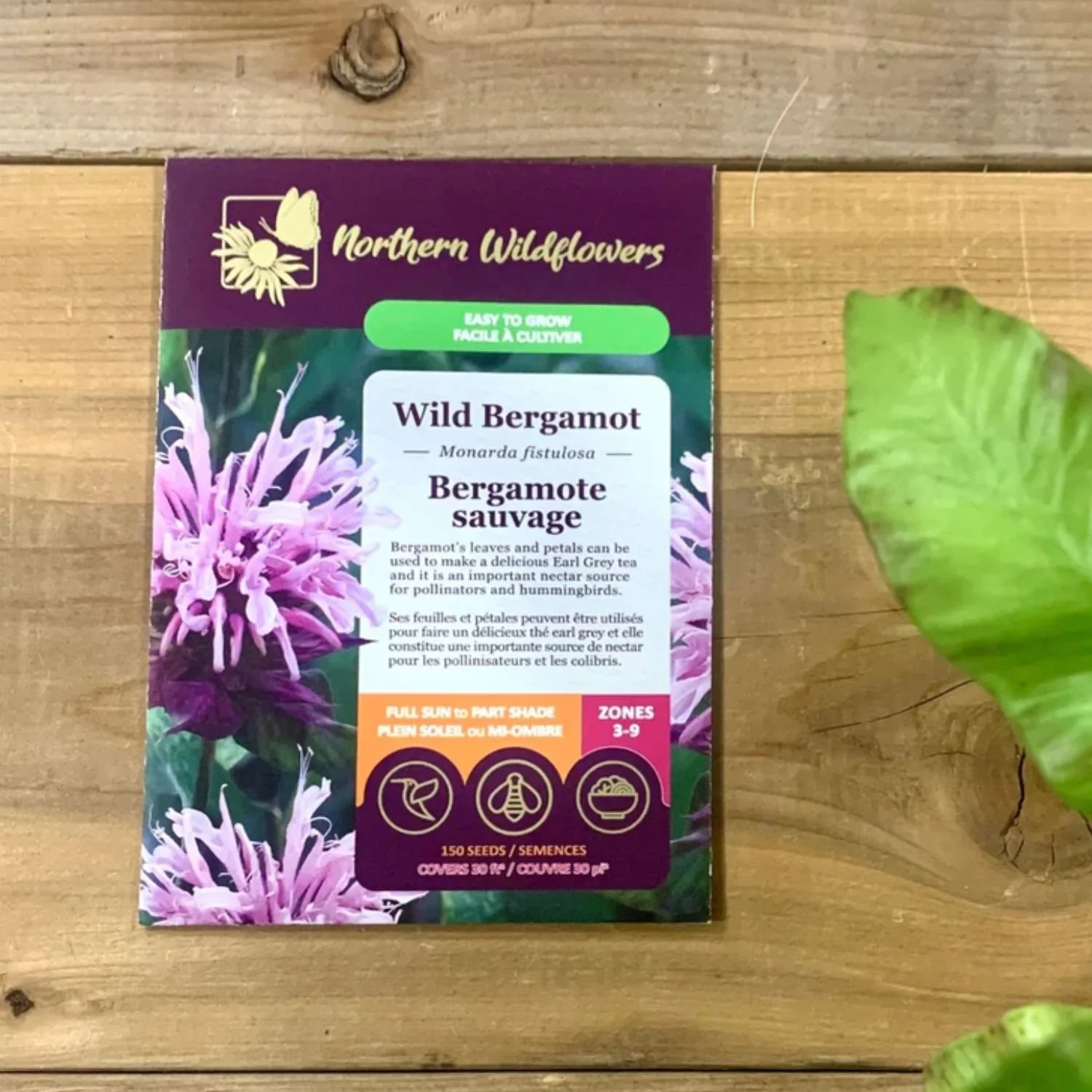 website photo template (21).jpg