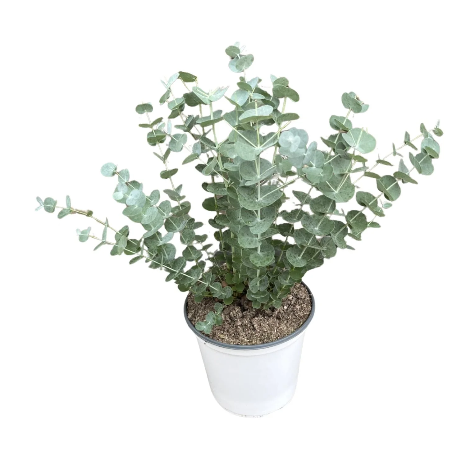 website photo template - 2026-09-19T124152.712.jpg