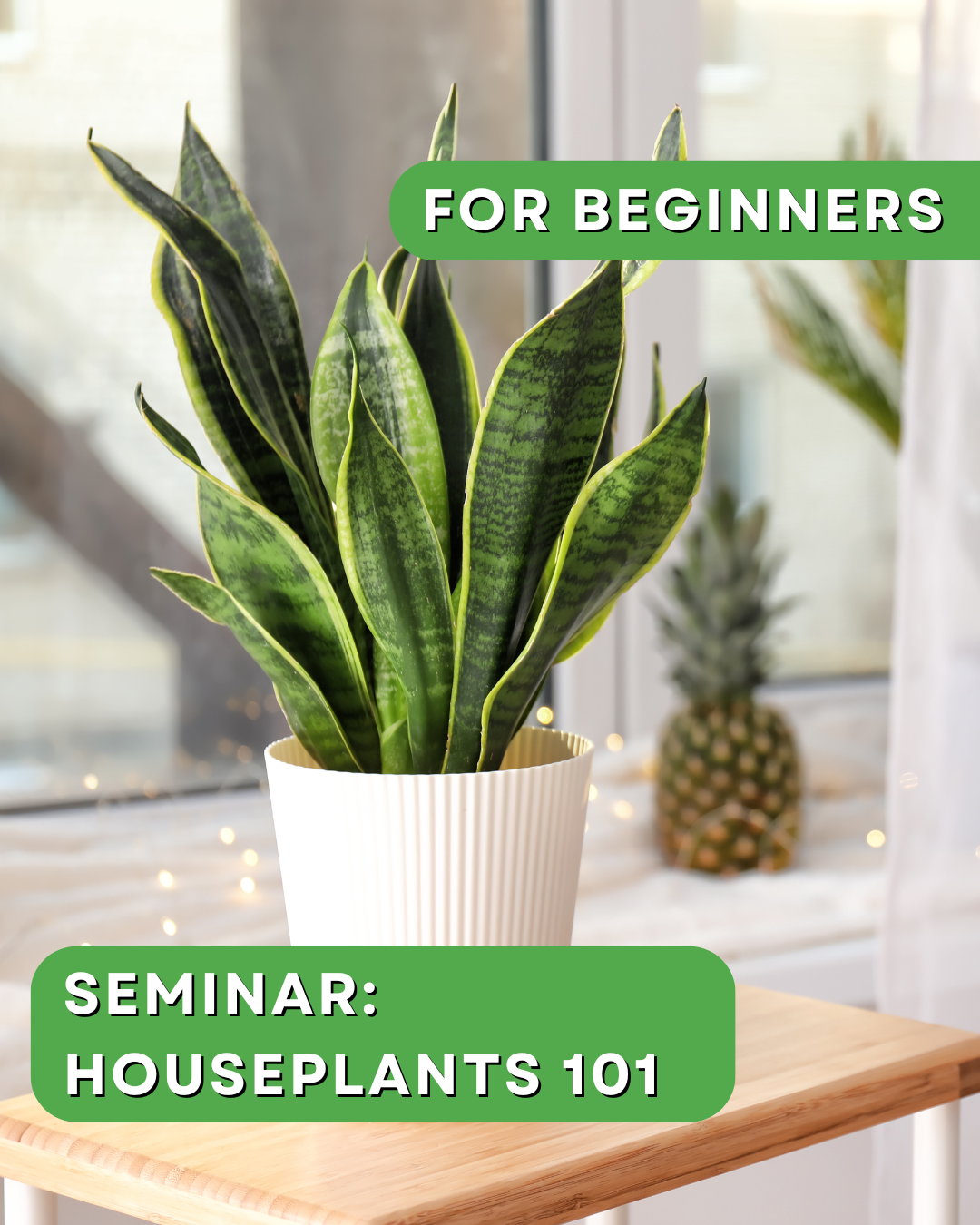 Elegant Spring Succulent Workshop (33).png