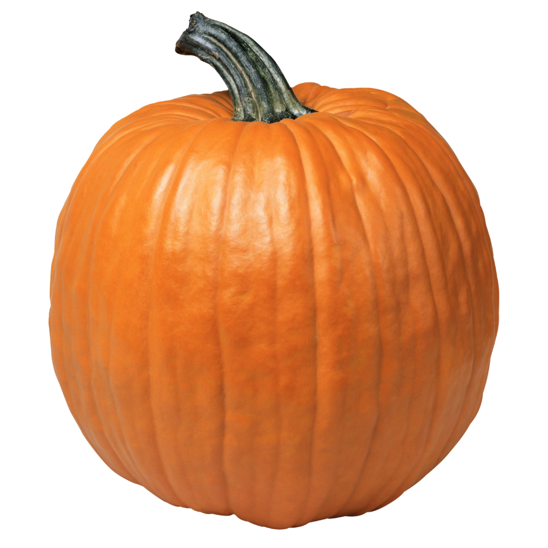 Large Orange Pumpkin
